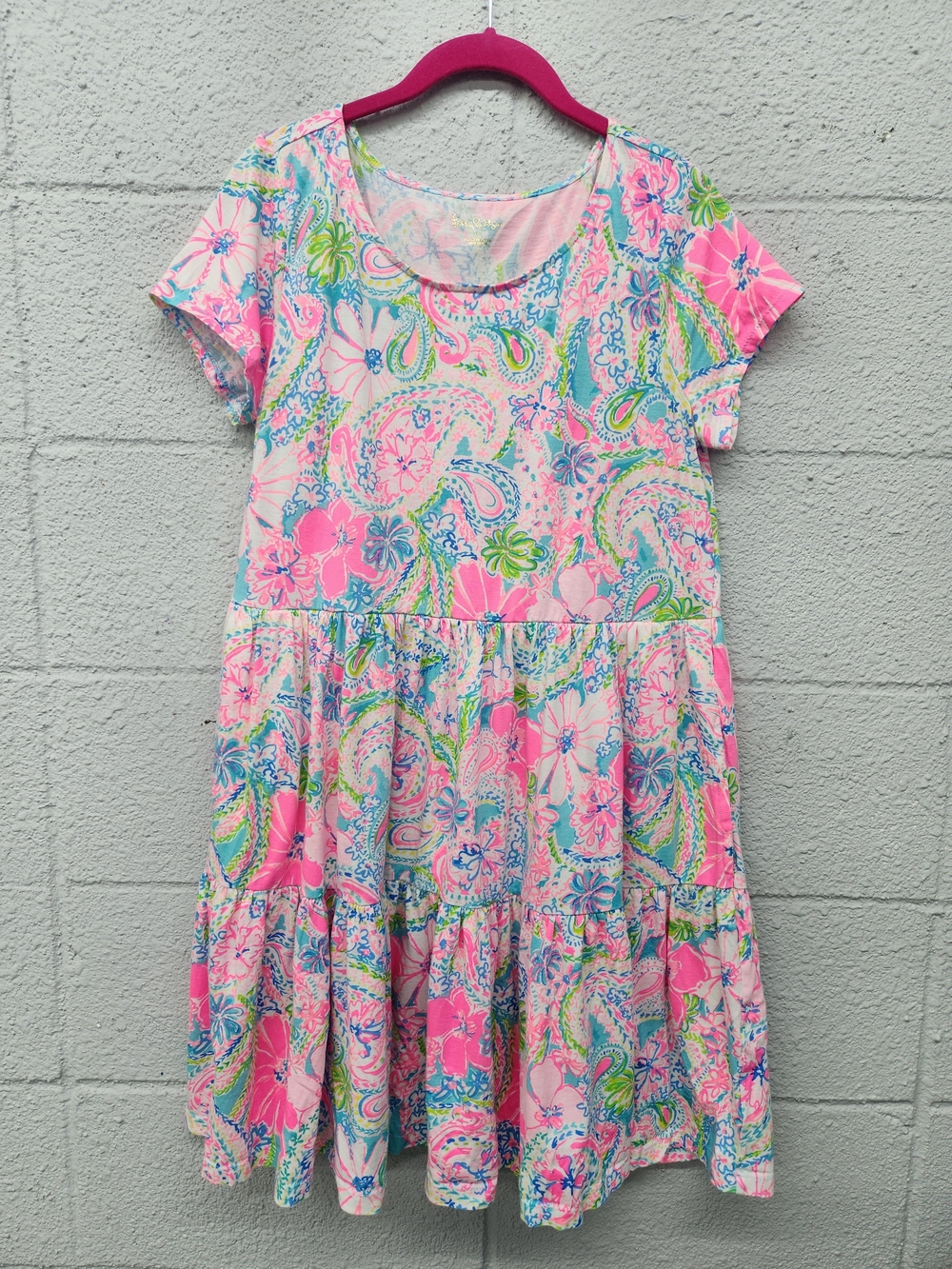 Lilly Pulitzer Pink Paisley Floral Short Sleeve Dress